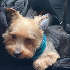 Meet your Posher, Timothy